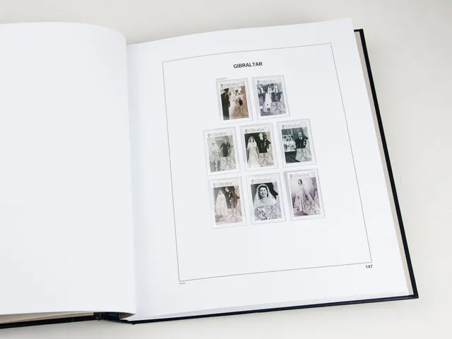 davo-luxe-gibraltar-2017-feuillets-album-timbres-170g image 1