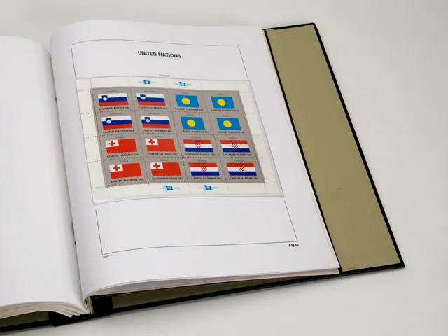 davo-luxe-onu-drapeaux-2013-feuilles-album-timbres image 1