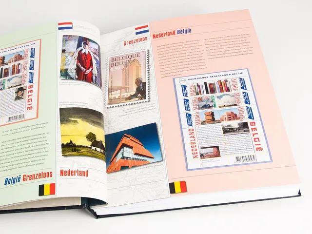 davo-luxe-grenzeloos-nederland-2013-feuilles-d-album-timbres image 1