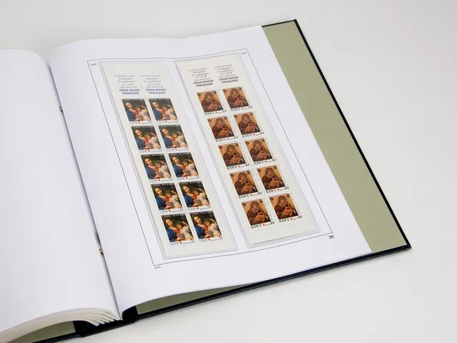 davo-luxe-france-croix-rouge-2004-pages-album-timbres image 1