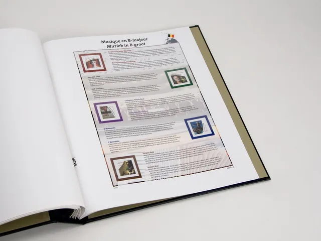 davo-luxe-this-is-belgium-2008-pages-suppl-ment-belgique image 1