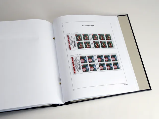 davo-luxe-belgique-carnets-2021-pages-album-timbres-170-g image 1