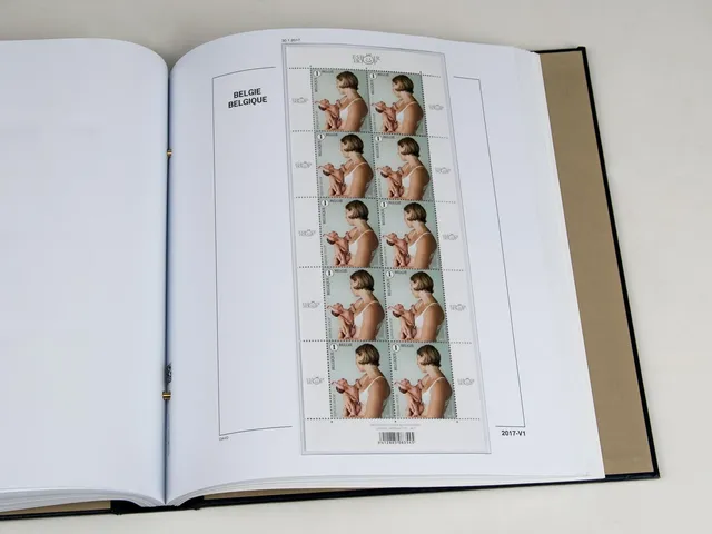davo-luxe-belgique-feuillets-2017-album-timbres-papier-170g image 1