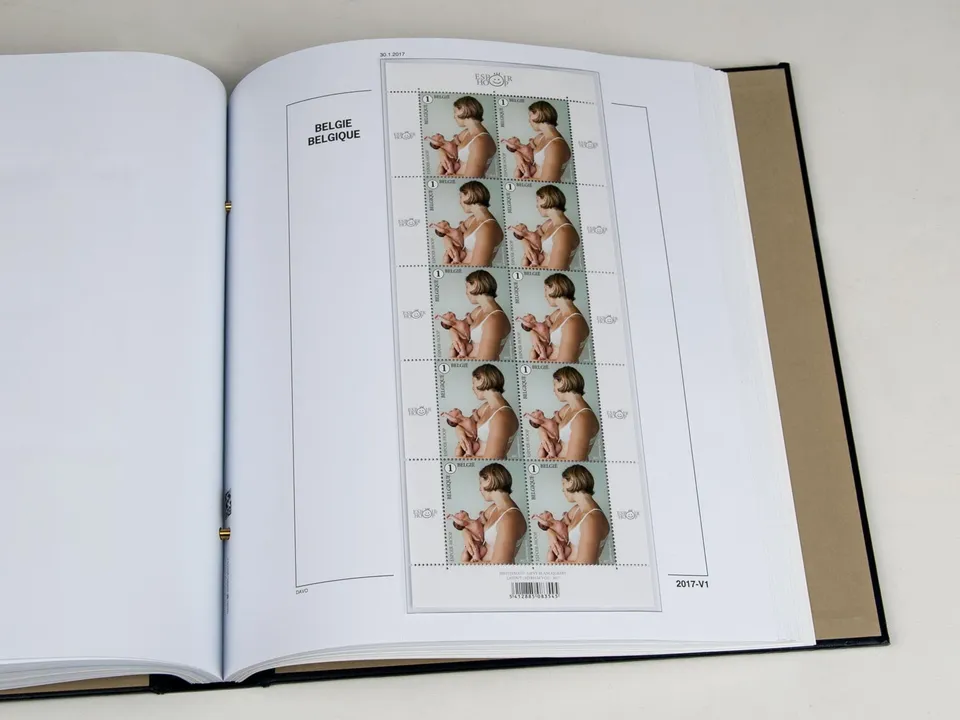 davo-luxe-belgique-feuillets-2017-album-timbres-papier-170g image 1