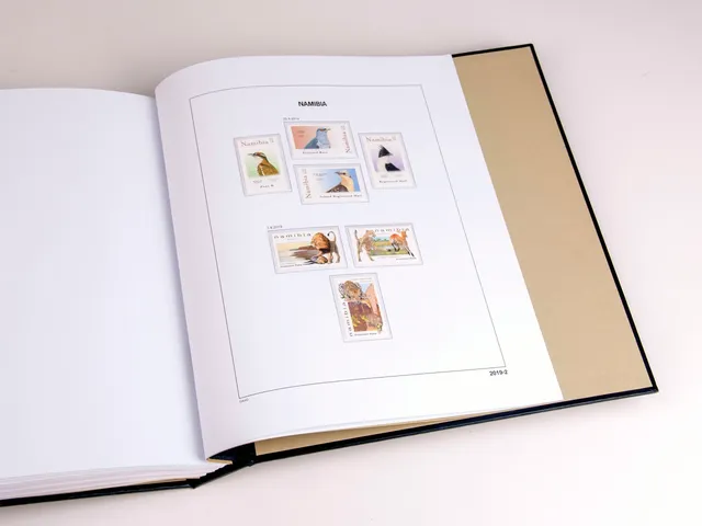davo-luxe-namibie-2019-feuilles-album-timbres-170-g image 1