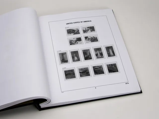 davo-luxe-usa-extra-2017-pages-album-timbres image 1