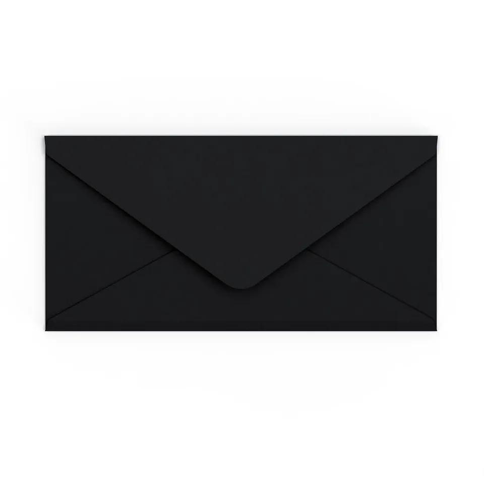 enveloppes-france-enveloppes-color-es-noire-110x220-mm-dl image 1