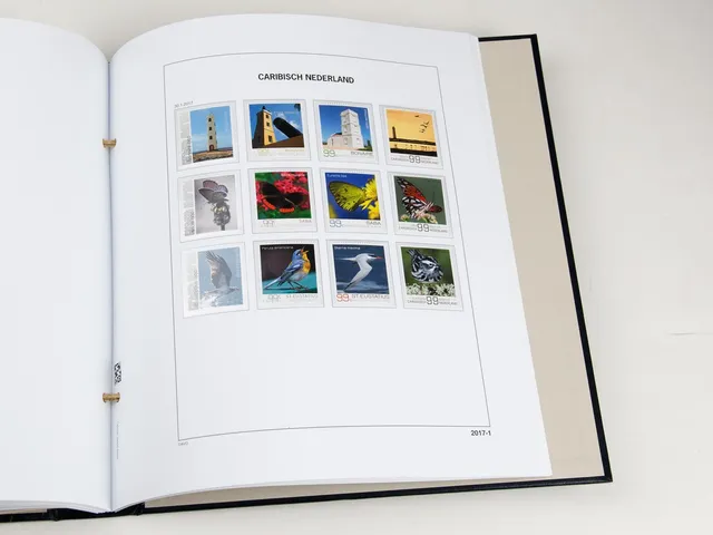 davo-luxe-caribisch-nederland-2017-pages-album-timbres-170-g image 1