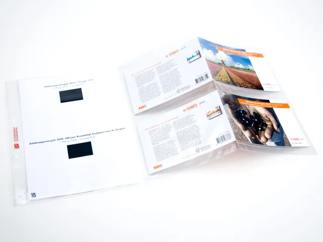 davo-luxe-suppl-ment-pzm-1er-semestre-2010-pages-album-timbres image 1