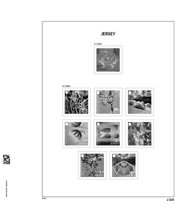 davo-luxe-jersey-2024-feuilles-album-timbres-170-g image 1