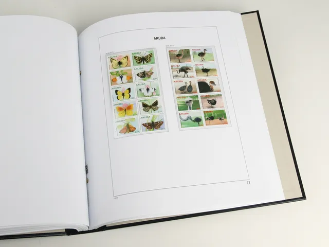 davo-luxe-aruba-2025-feuillets-suppl-ment-papier-170g image 1
