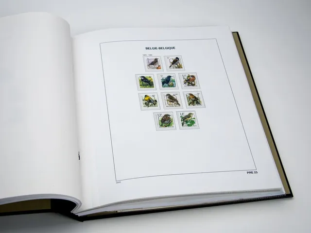 davo-luxe-pages-timbres-belgique-pre-1-23-170g image 1