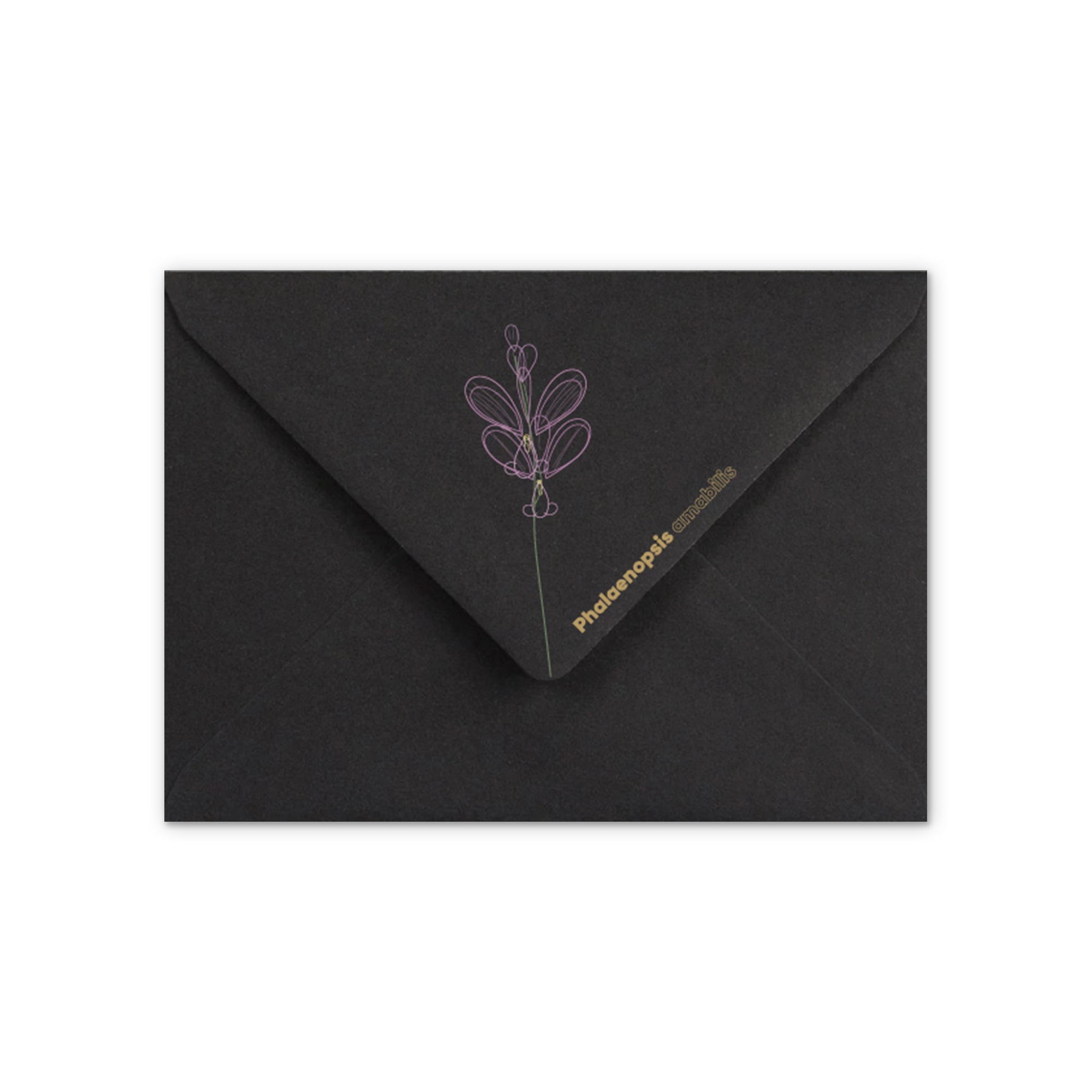 enveloppes-france-c6-enveloppe-orchid-e-noire-114x162-mm-120g image 1