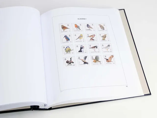 davo-luxe-alderney-2020-pages-album-timbres-170-g image 1