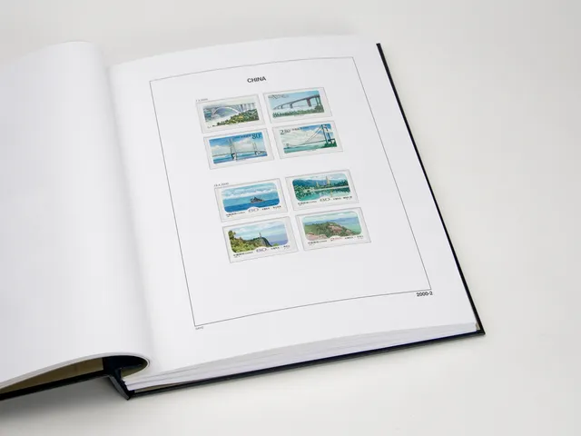 davo-luxe-chine-2020-pages-suppl-ment-album-timbres image 1