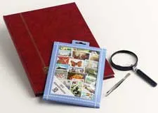 davo-stockbooks-monde-lot-timbres-album-pince-et-loupe image 1