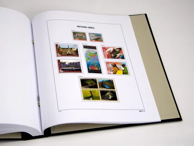 davo-luxe-onu-gen-ve-2021-pages-album-timbres-170g image 1