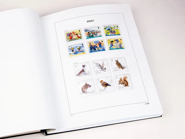 davo-luxe-jersey-2019-pages-album-timbres-170-g image 1