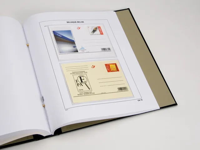 davo-luxe-belgique-cartes-postales-2006-feuilles-album-timbres image 1