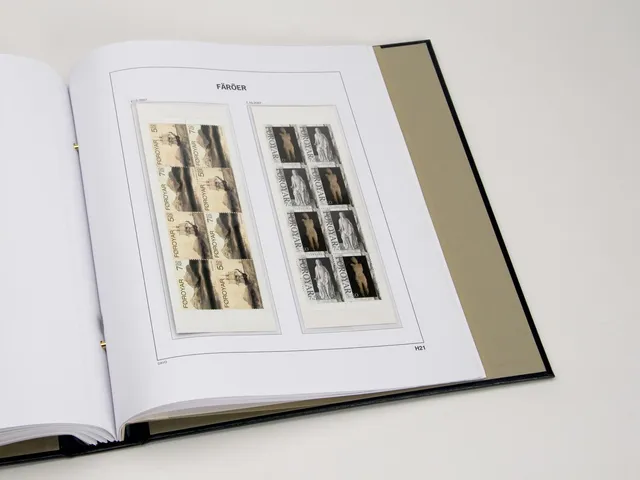 davo-luxe-f-ro-carnets-2007-feuilles-suppl-ment-timbres image 1