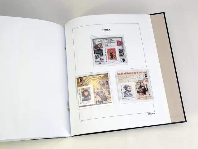 davo-luxe-france-cnep-2022-pages-d-album-blocs-neufs image 1