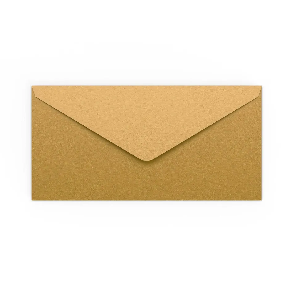 enveloppes-france-color-es-enveloppe-dor-e-dl-110x220-mm image 1