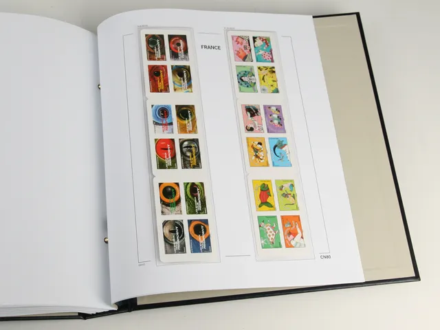 davo-luxe-france-carnets-2005-suppl-ment-feuilles-album-timbre image 1